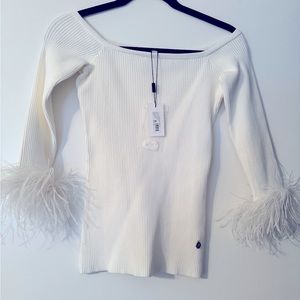 Milly Off the Shoulder Feather Sleeve Top